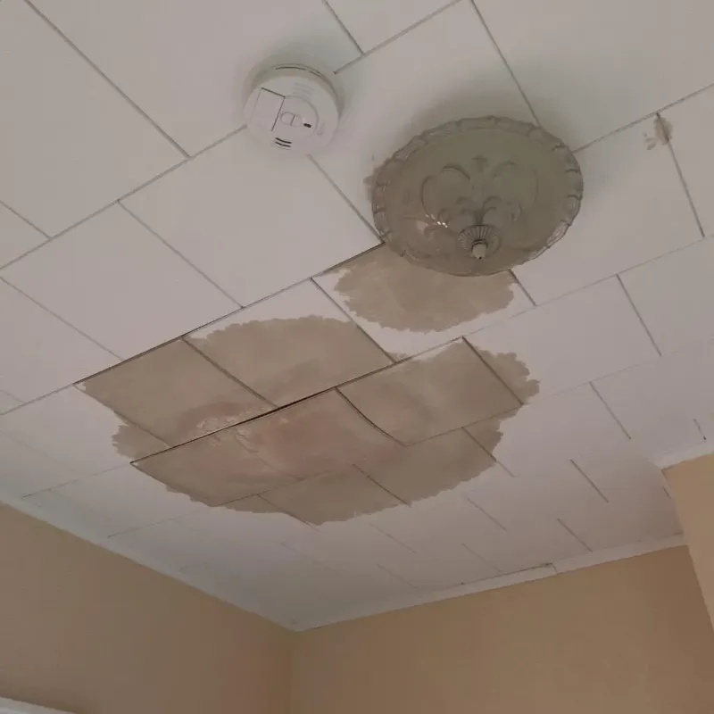 Ceiling Water Damage Repair in Durham County, NC