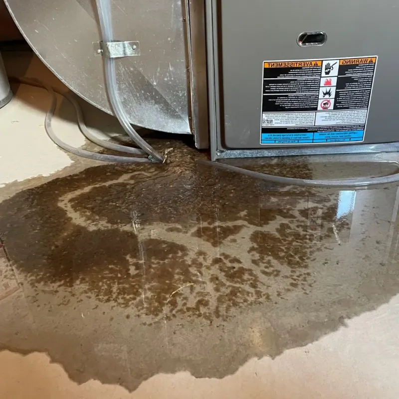 Pipe Burst and Leak Restoration in Durham County, NC